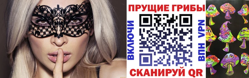 нарко площадка телеграм  Вязьма  Псилоцибиновые грибы Magic Shrooms 
