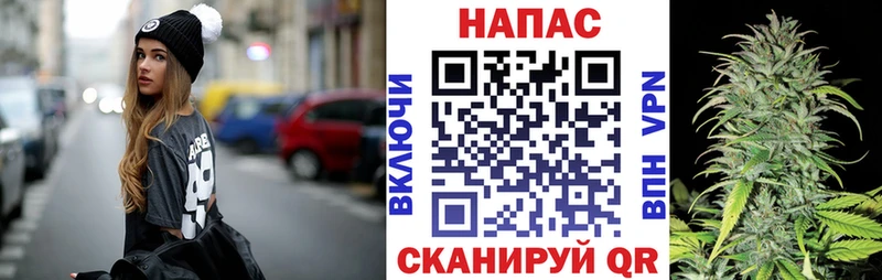 Бошки марихуана сатива Вязьма